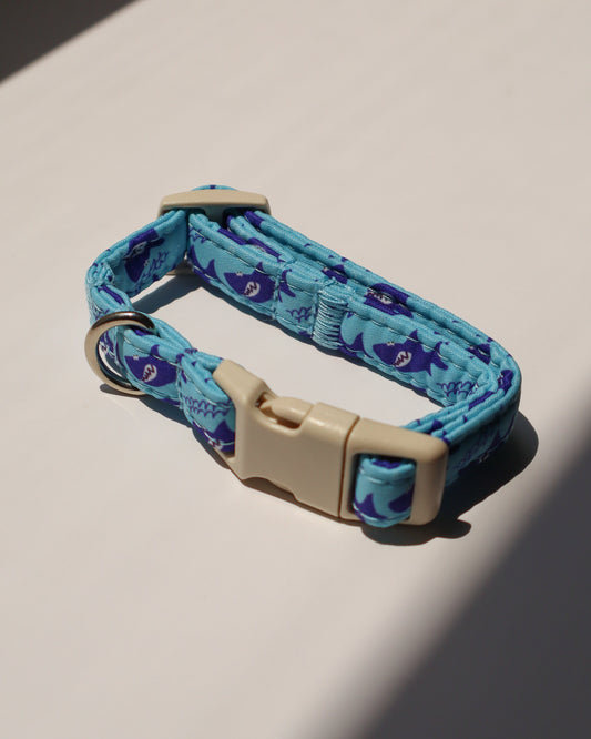 COLLAR - BLUE SHARK