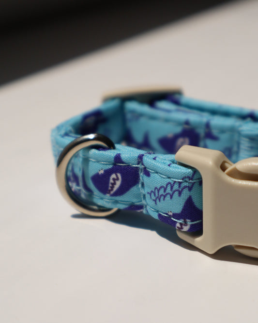 COLLAR - BLUE SHARK