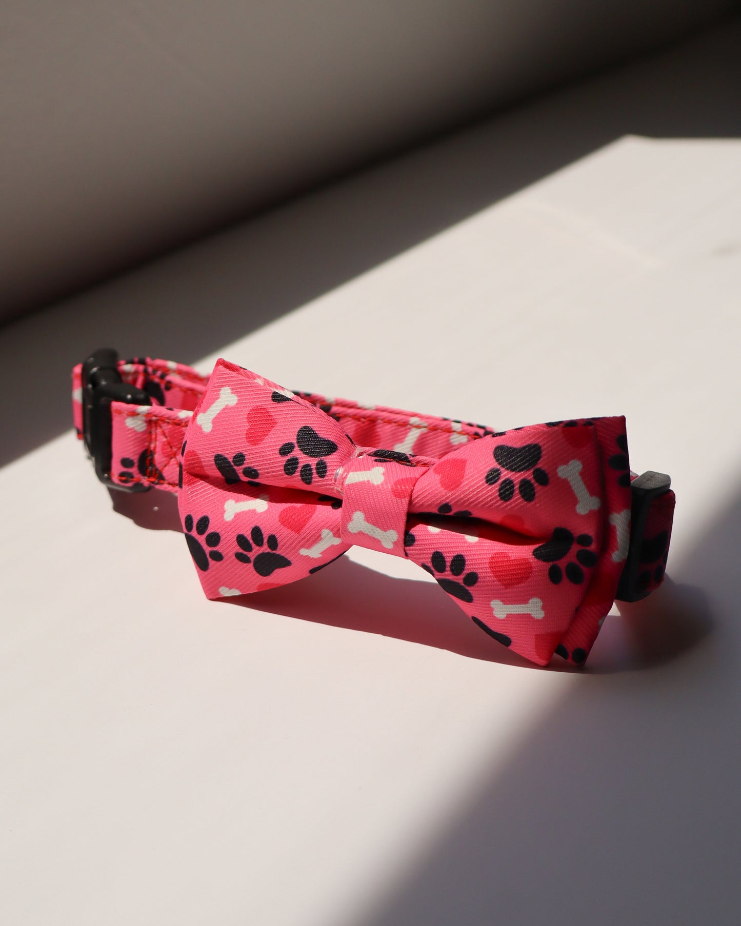 COLLAR - BONES & PAWS