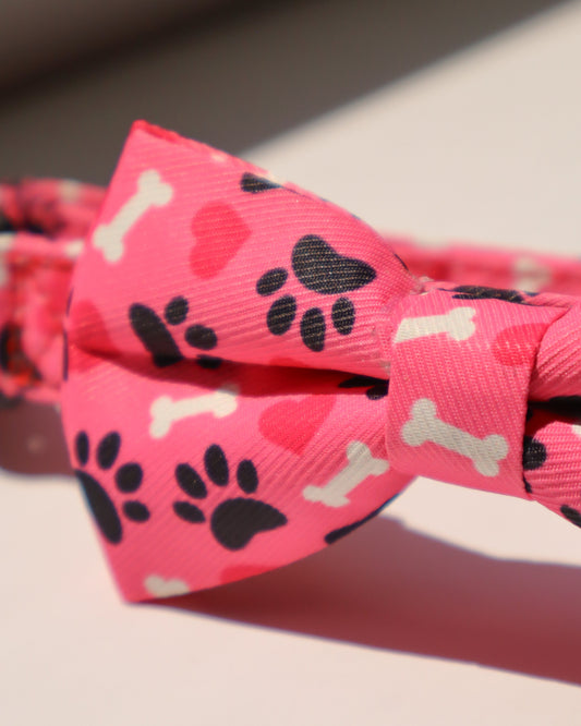 COLLAR - BONES & PAWS