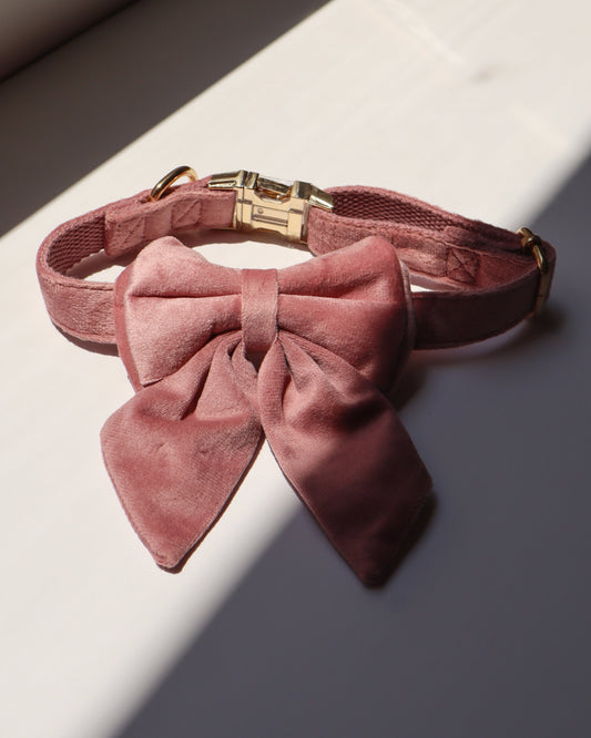 COLLAR - VELVET ROSE