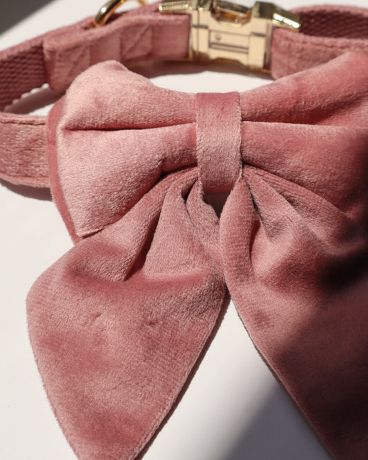 COLLAR - VELVET ROSE