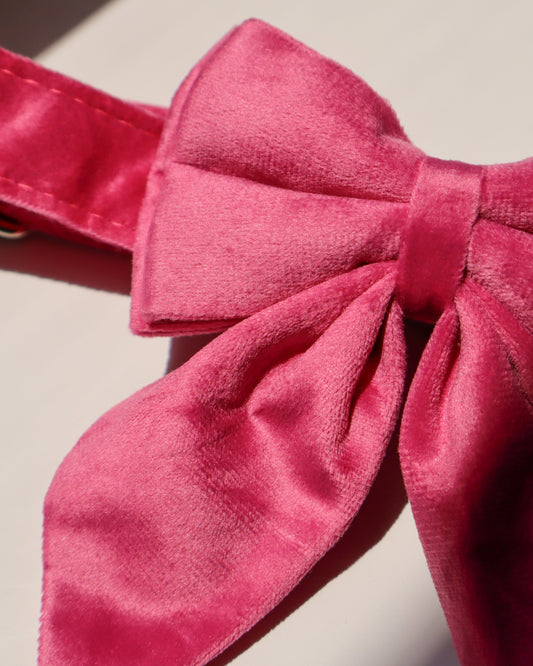 COLLAR - VELVET FUCHSIA