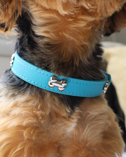 COLLAR - BLUE BONE