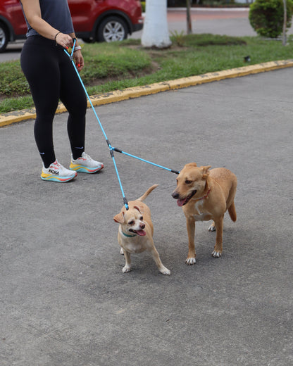 CORREA DOBLE - BLUETWIST