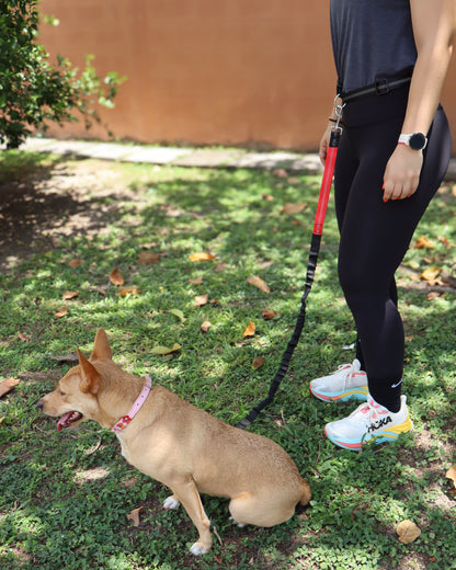 CORREA MANOS LIBRE - ROJA DINÁMICA