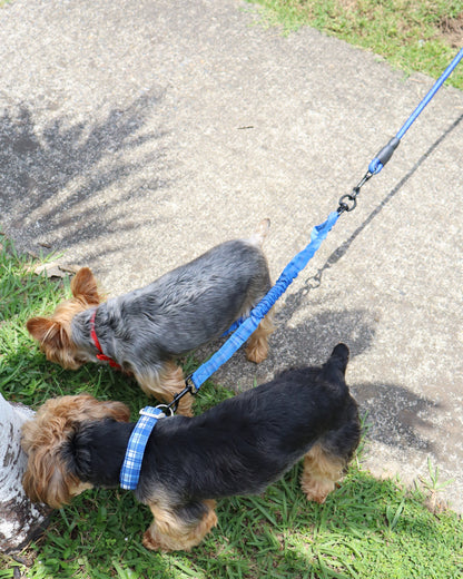 CORREA DOBLE DE ALTA RESISTENCIA