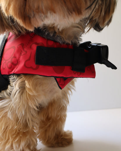 CHALECO SALVAVIDAS - NADANDO ANDO