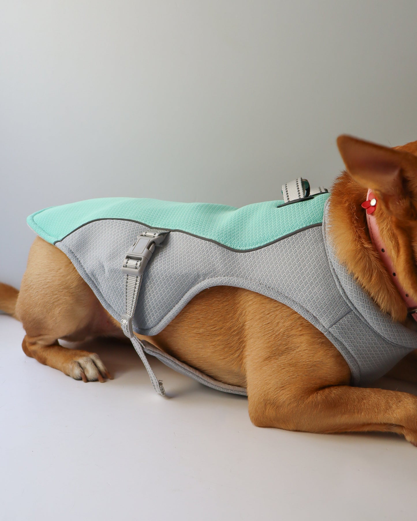 CHALECO REFRESCANTE - COOLDOG VEST