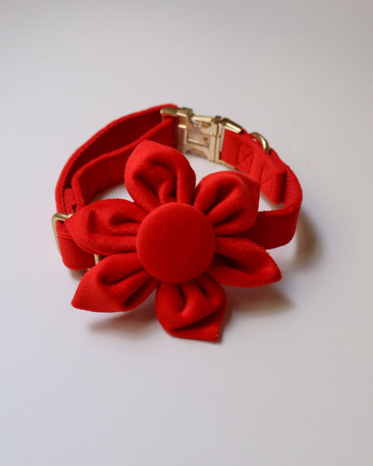 COLLAR - PETAL BLOOM
