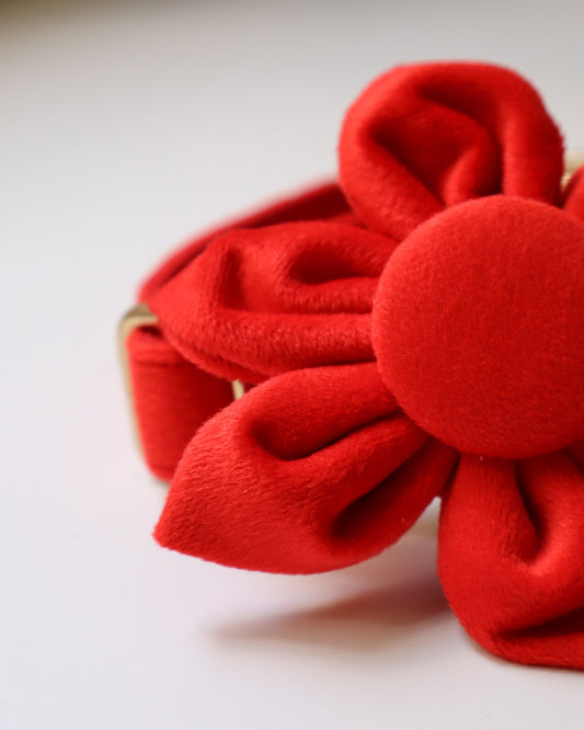 COLLAR - PETAL BLOOM