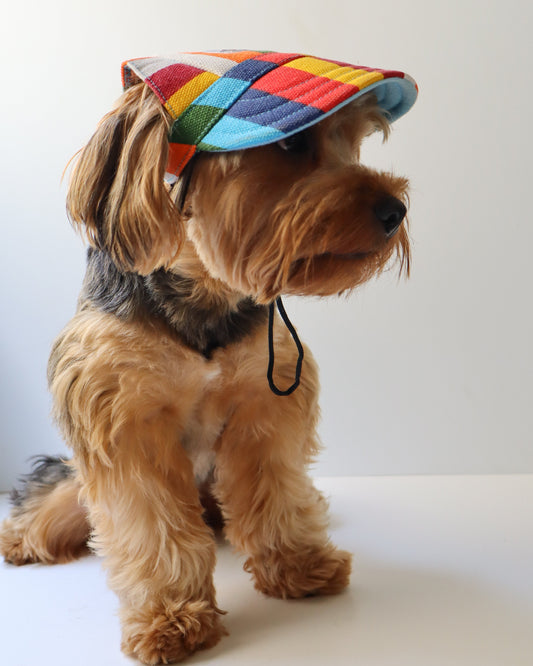 COLOR POP CAP