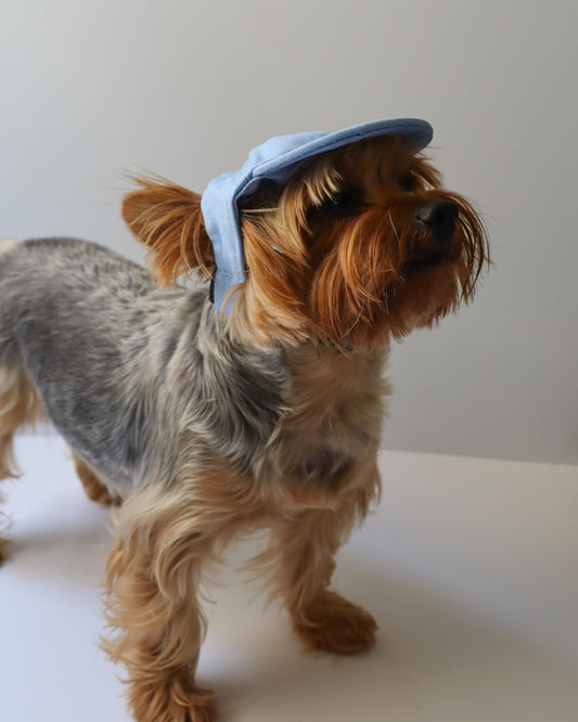 PUPPY BLUE CAP