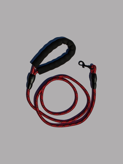 CHRISTMAS LEASH & COLLAR