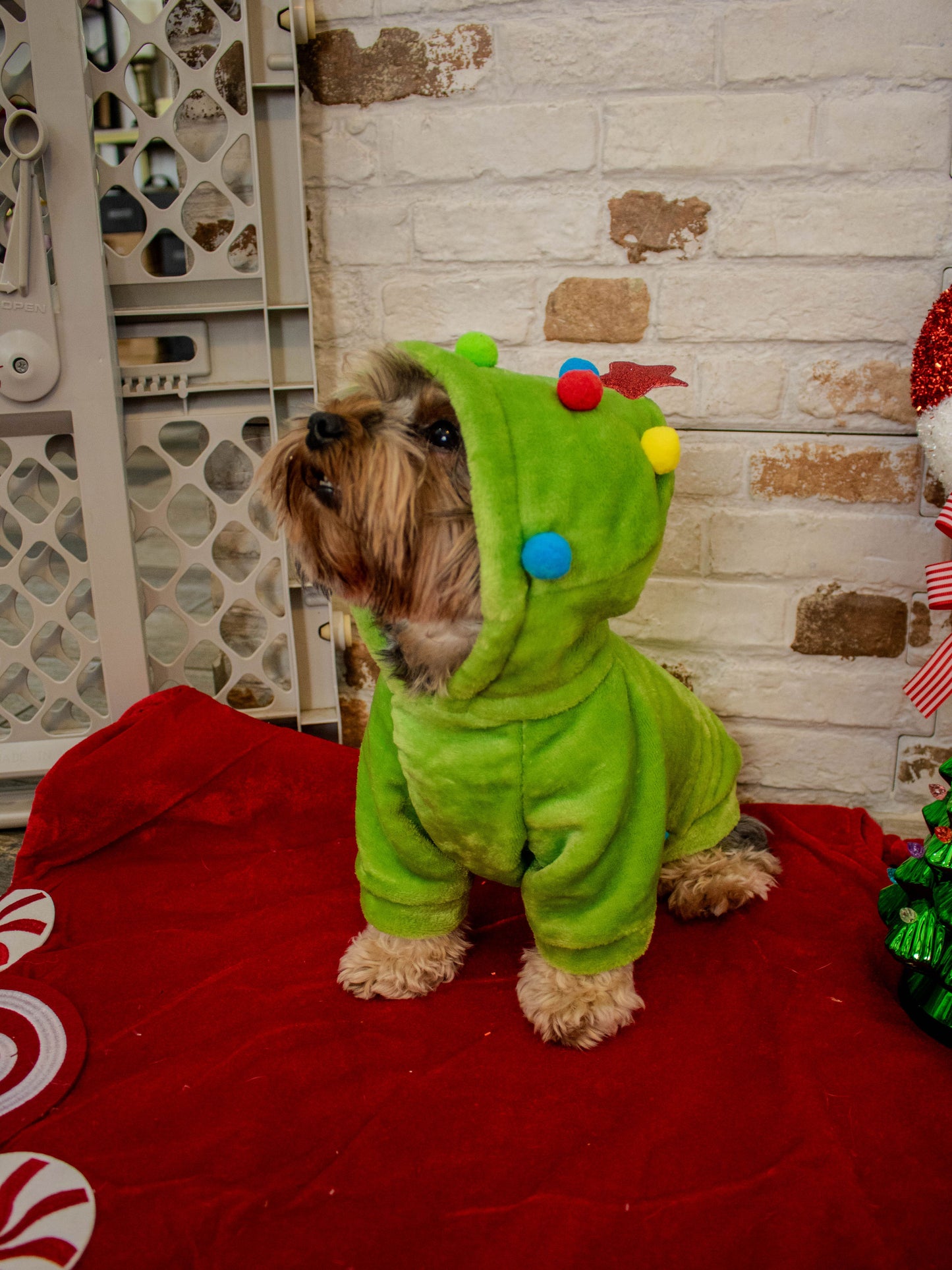 CHRISTMAS TREE HOODIE