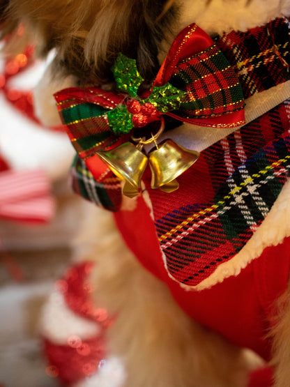 CLASSIC CHRISTMAS CAPE