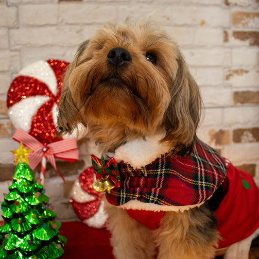 CLASSIC CHRISTMAS CAPE