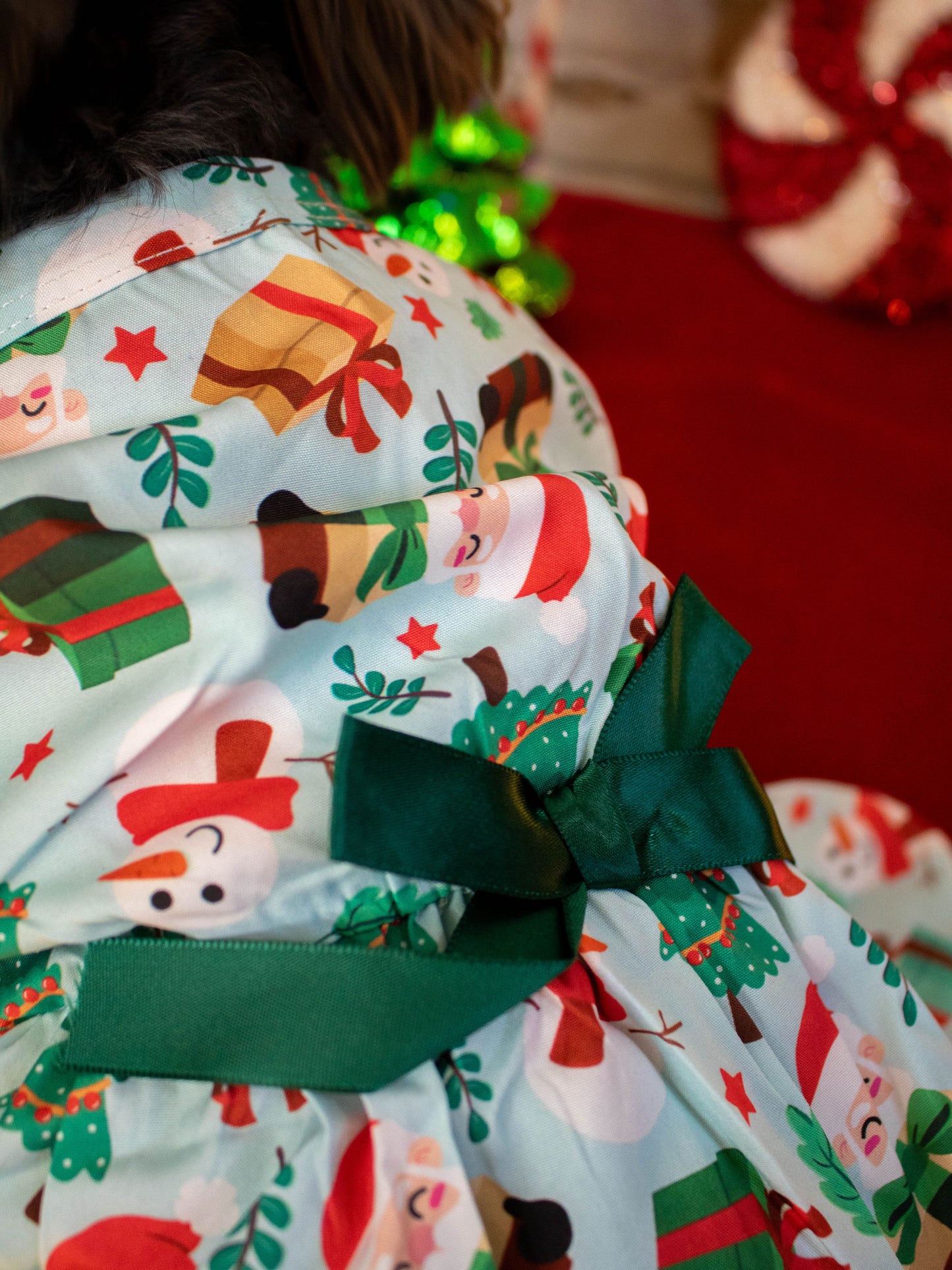 HOLLY JOLLY DRESS