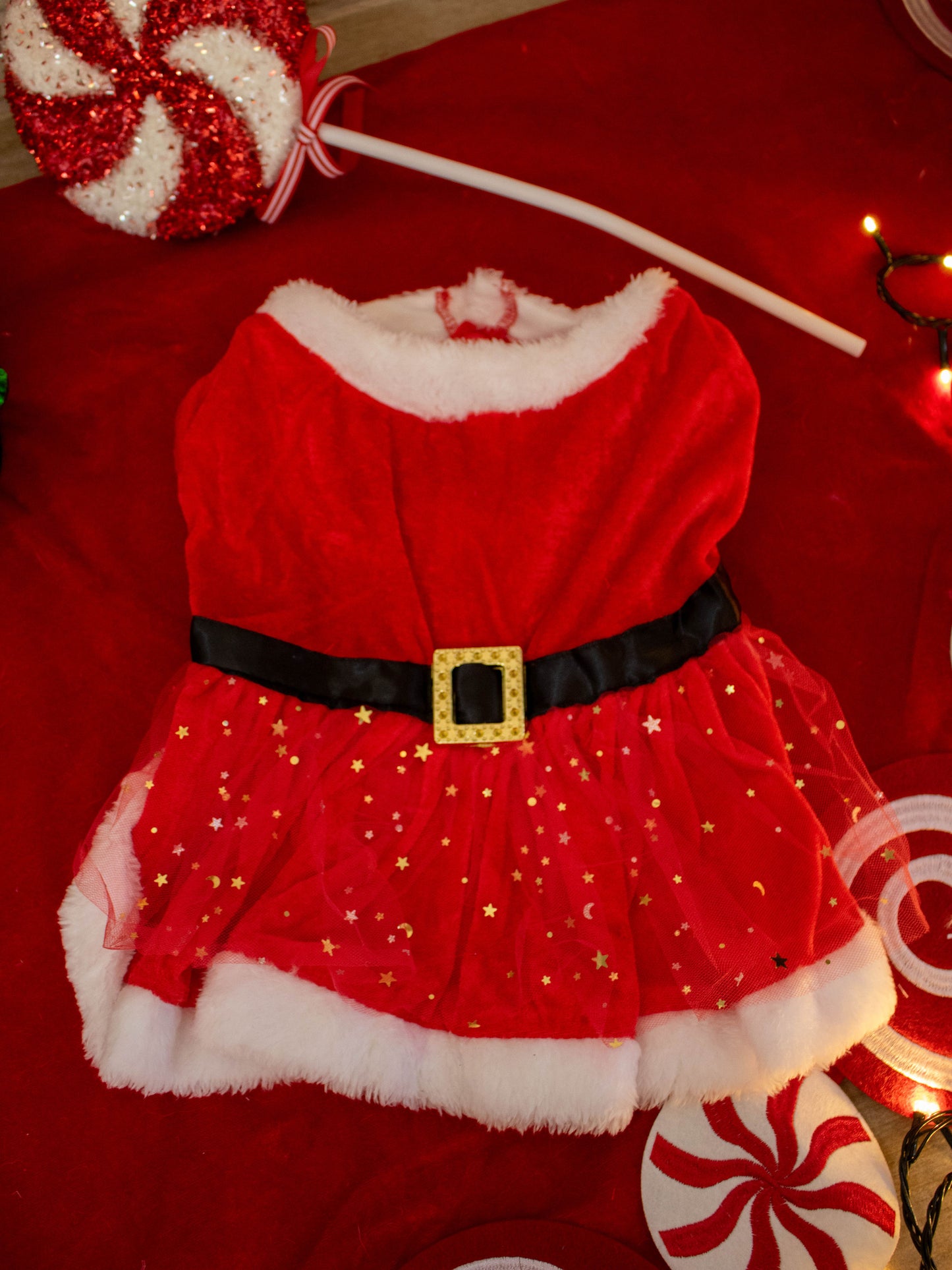 SANTA GLAM DRESS