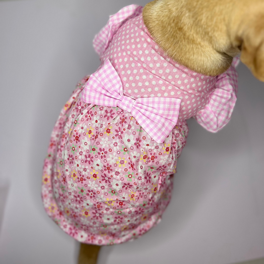 BLUSH BABY DRESS