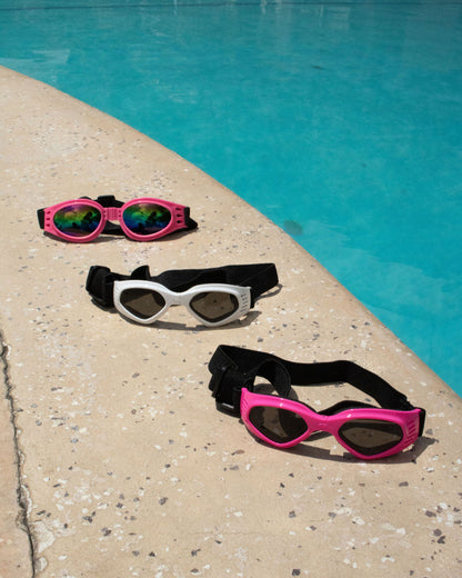 GAFAS UV - SUNNY PUP