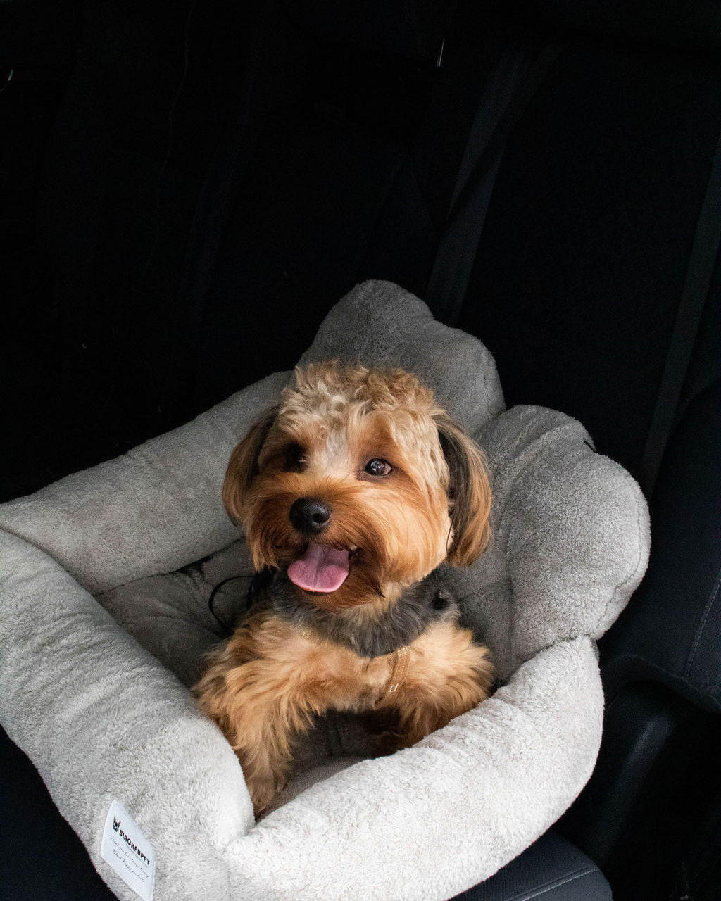 ASIENTO - COZY DRIVE