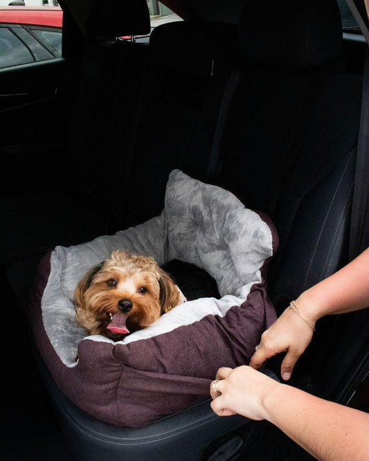 ASIENTO - VINO COMFY