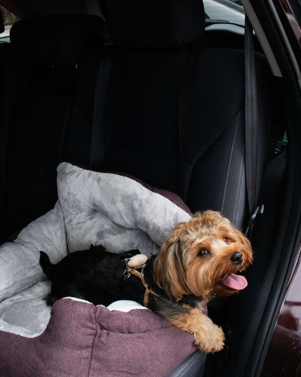 ASIENTO - VINO COMFY