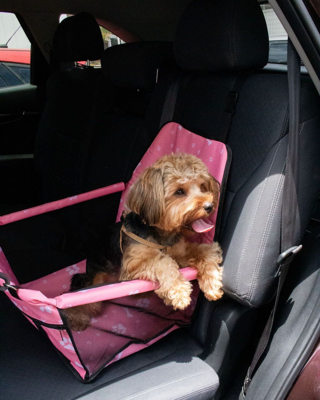 ASIENTO - PINKY RIDE