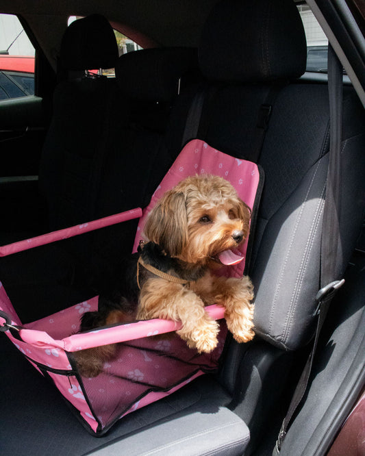 ASIENTO - PINKY RIDE