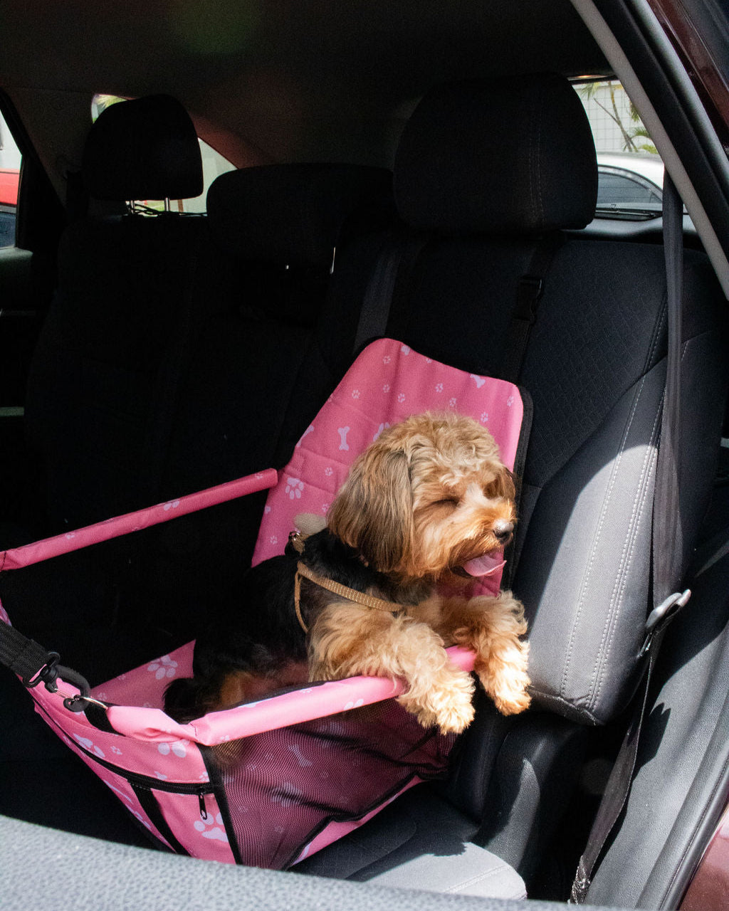 ASIENTO - PINKY RIDE