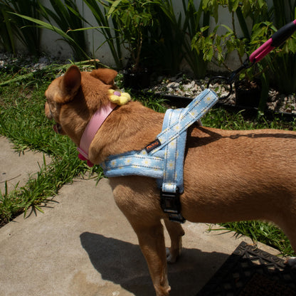 ARNÉS - FLORAL COMFORT