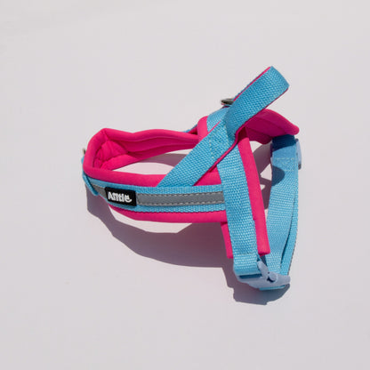 ARNÉS - COLOR BLOCK