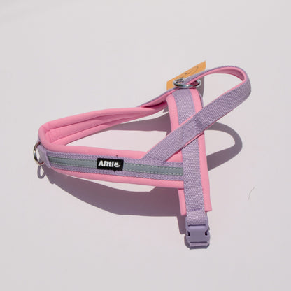 ARNÉS - COLOR BLOCK