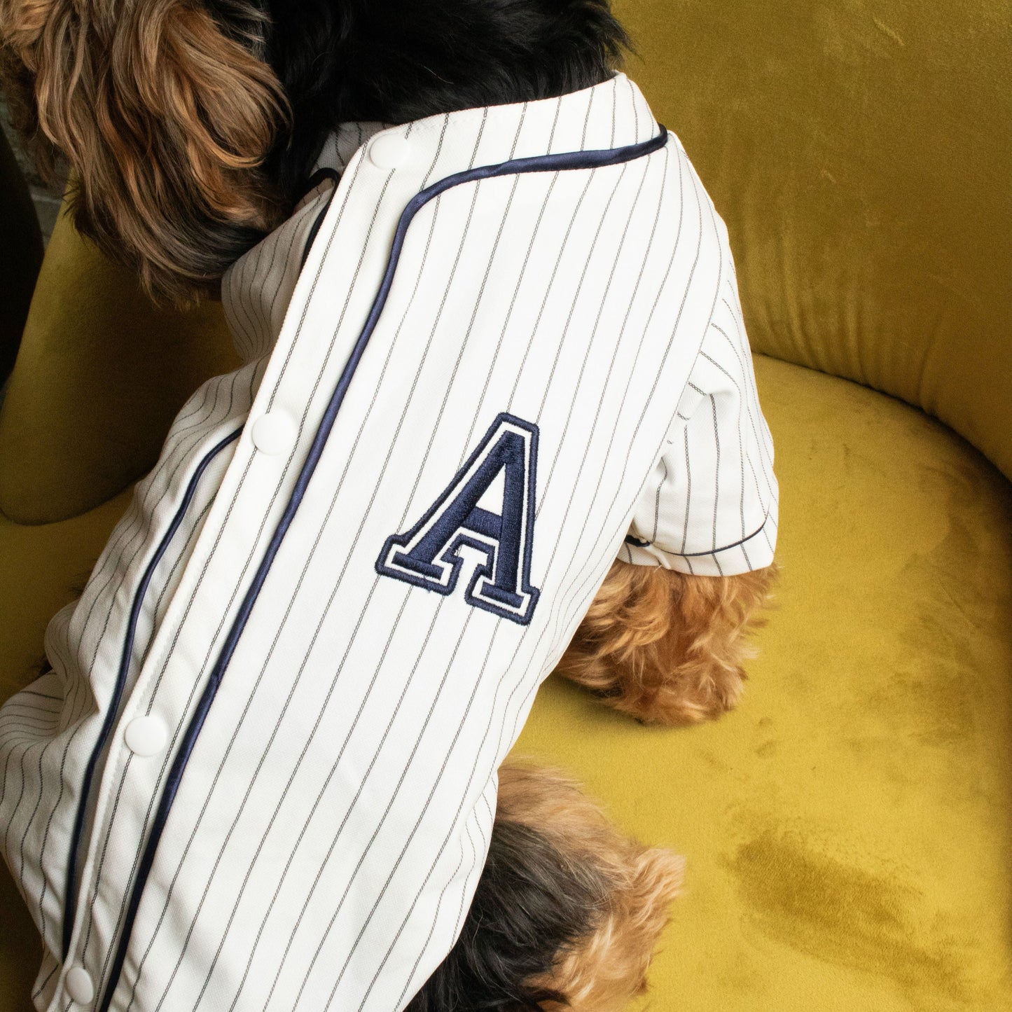 ALL-STAR "A" JERSEY