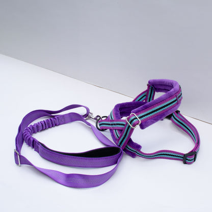 ARNÉS CON CORREA - PURPLE COMFORT