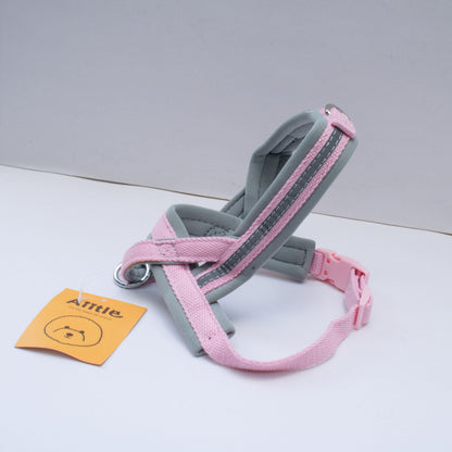 ARNÉS - COLOR BLOCK