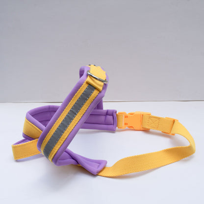 ARNÉS - COLOR BLOCK