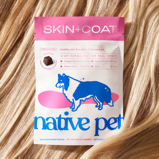 NATIVE PET SKIN + COAT AIR-DRIED CHEWS