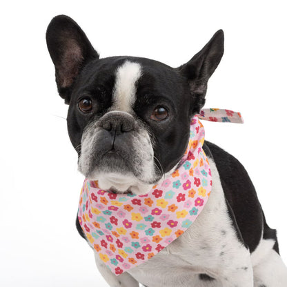 SPRING FLOWERS REVERSIBLE DOG BANDANA