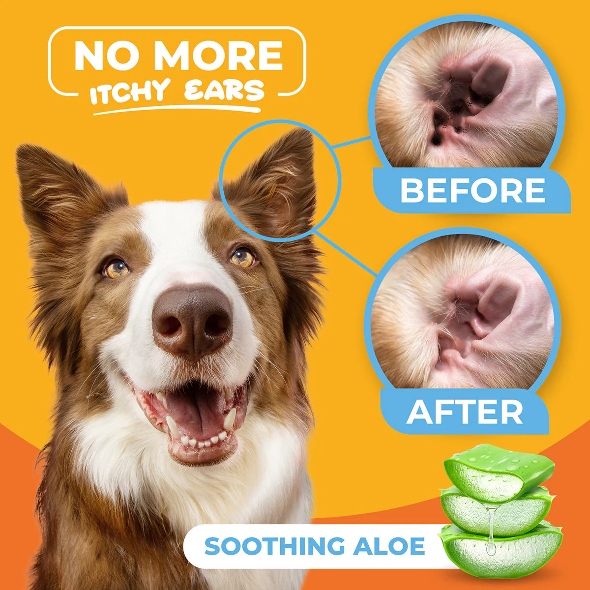 EAR WIPES