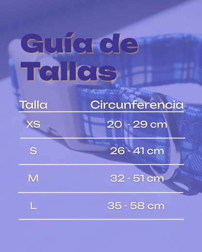 COLLAR - CLASSIC BLUE