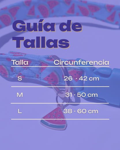 COLLAR - WATERMELON DAYS