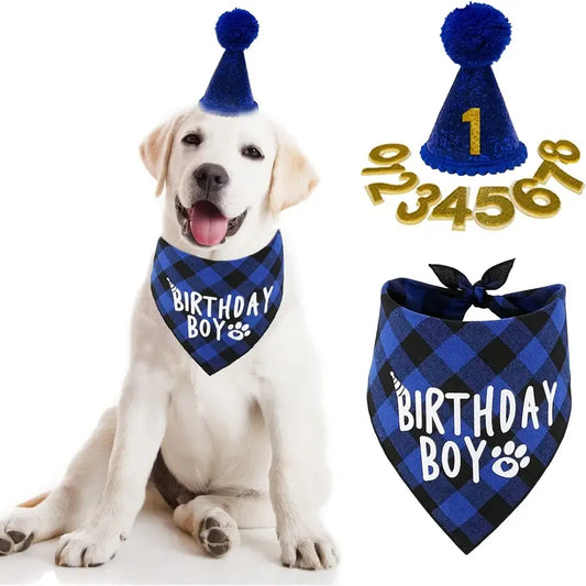 SET DE CUPLEAÑOS - BIRTHDAY BOY